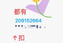 小嫂子by酒徒txt小说百度云全文阅读无删减版-红橙子小说网